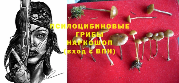 гашик Абинск