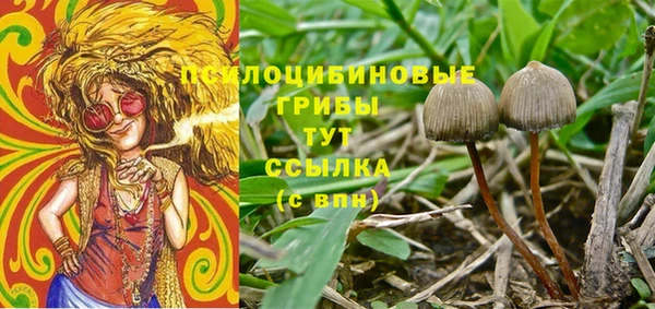 мескалин Абаза
